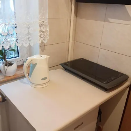 Apartament Curie - Studio Homestay *